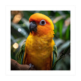 Sun Conure Parrot Colorful Bird Perched On Branch (Print Only) thumbnail