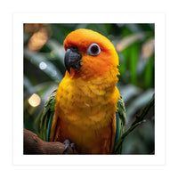 Sun Conure Parrot Colorful Bird Perched On Branch (Print Only)