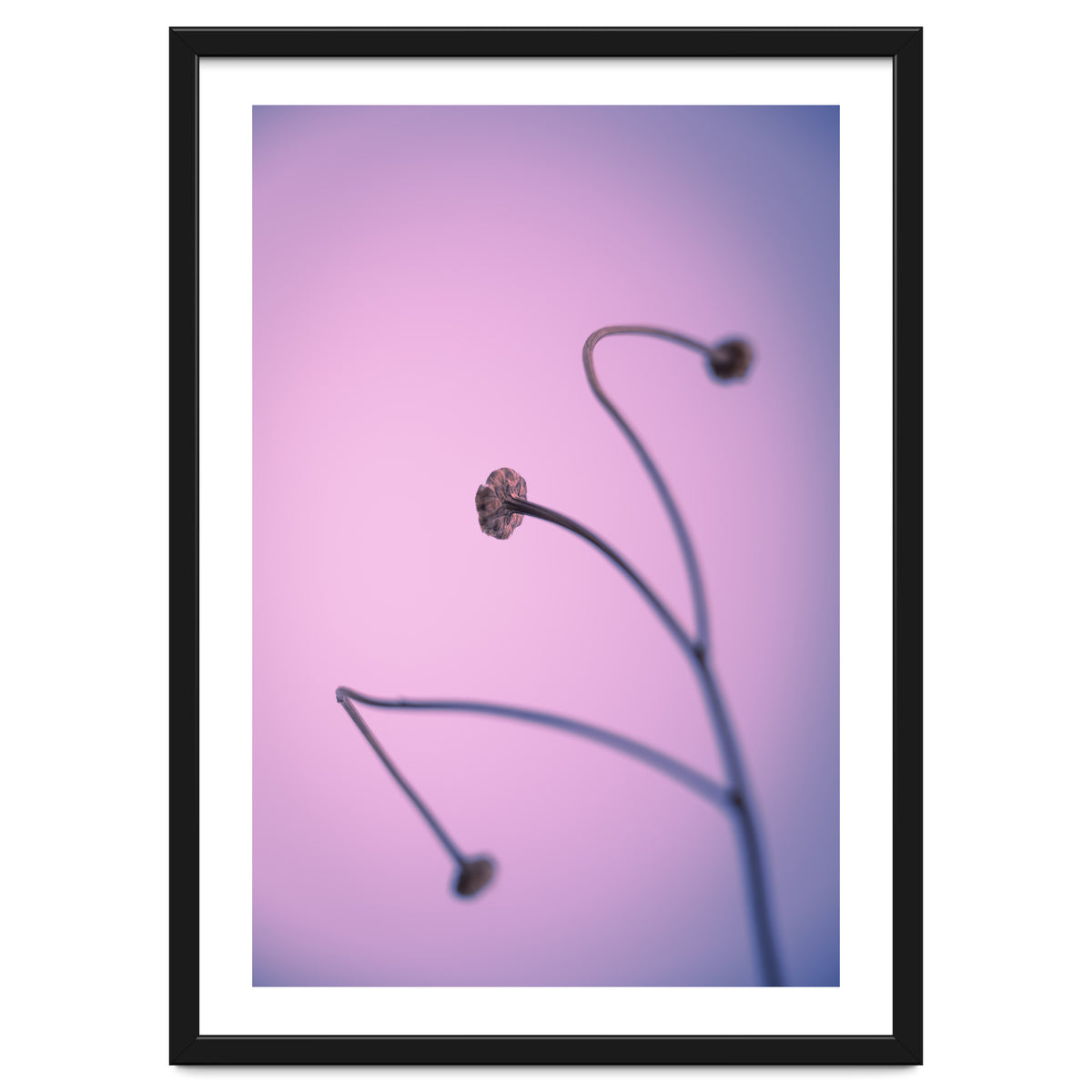 In light of current events VI