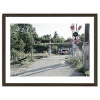 A chicken crossing a railroad