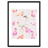 Flamingo Formation thumbnail