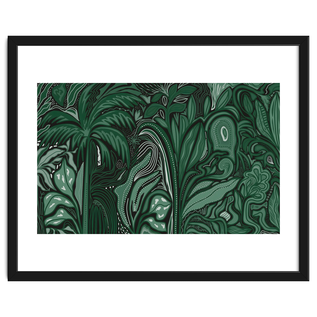 Noctiverdis magnifolia arcana tropical green