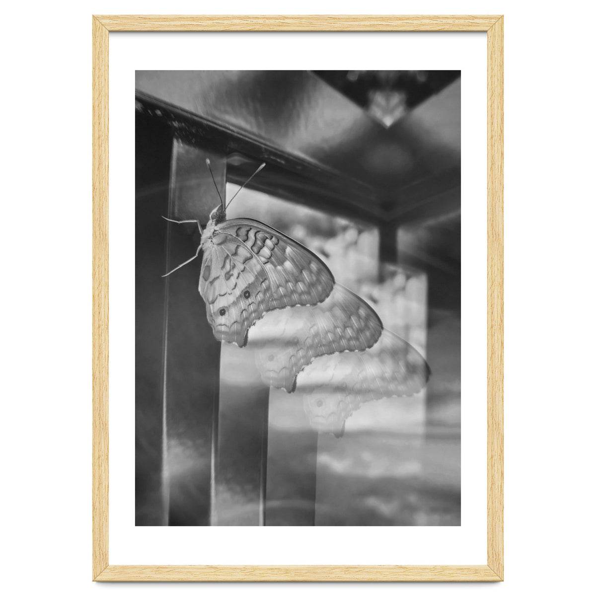 Evolving | Black & White