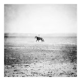 Sea Horse (Print Only) thumbnail