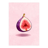 Fresh Figs, Watercolor Fruit, Mediterranean Still Life (Print Only) thumbnail