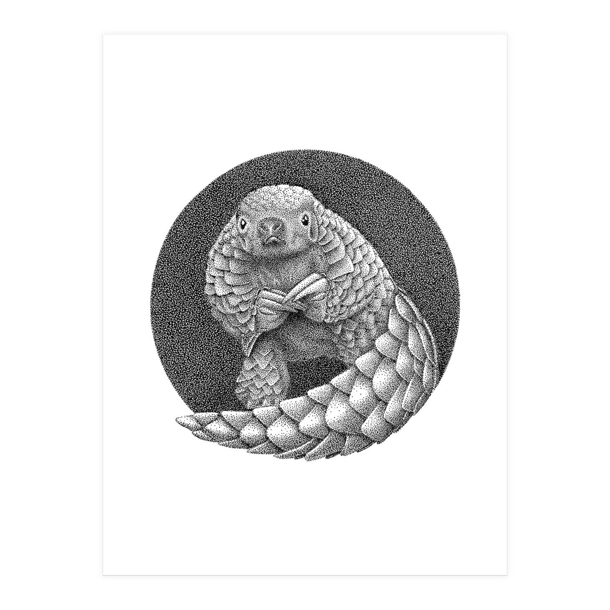Pangolin no. 1 (Print Only)