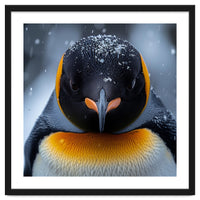 Close Up King Penguin In The Snow
