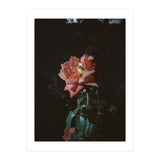 Romantic (Print Only) thumbnail