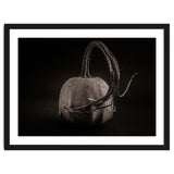 Gourds No 14 thumbnail