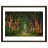 Soft morning light thumbnail