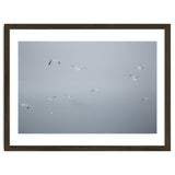 Flying seagulls in the winter sky thumbnail