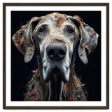 Old Dog 04 thumbnail
