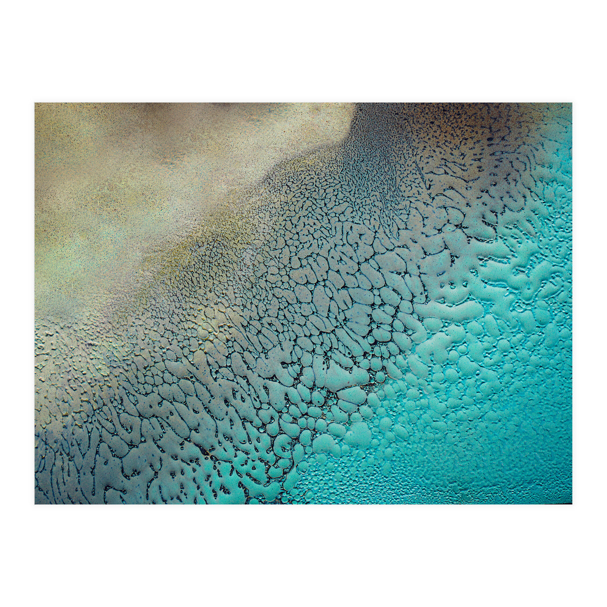 Earthbound (Print Only)