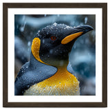 King Penguin Close Up In The Rain thumbnail