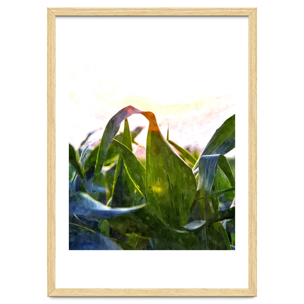 Hope With Abstraction