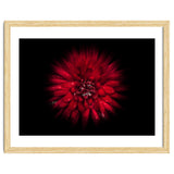 Backyard Flowers No 45 Color Flow Version thumbnail