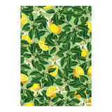 Lemonade Garden, Green Fresh Lemon Botanical Illustration, Vibrant Summer Tropical Fruit Nature (Print Only) thumbnail