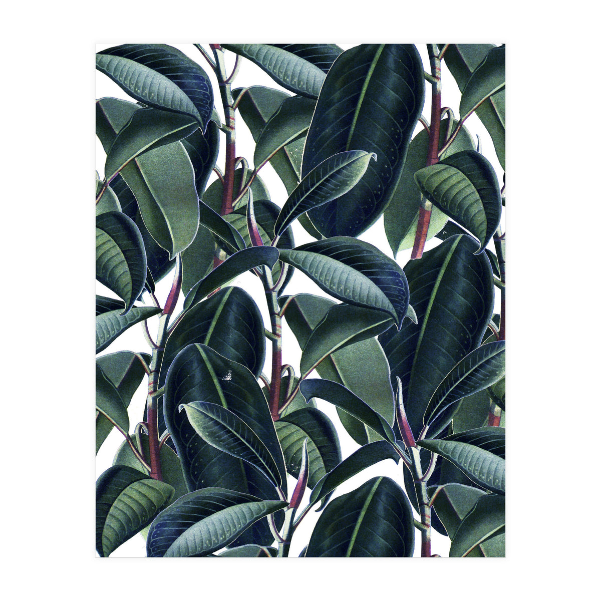 Rubber & Glue #society6 #decor #buyart  (Print Only)