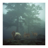 Silence of breath - 05 (Print Only) thumbnail