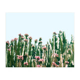 Blush Cactus #society6 #decor #buyart (Print Only) thumbnail