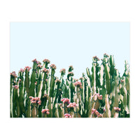 Blush Cactus #society6 #decor #buyart (Print Only)