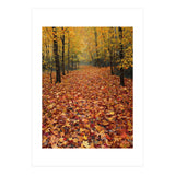 Ethereal Autumn Forest Path (Print Only) thumbnail