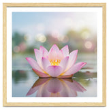 Ethereal Lotus Bloom: Serene Botanical Reflection thumbnail