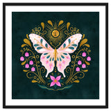 Butterfly And Sun thumbnail