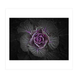 Backyard Flowers No 108 Color Version (Print Only) thumbnail