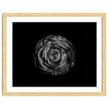 Backyard Flowers In Black And White No 72 with Border thumbnail