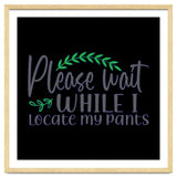 Please Wait While I Locate My Pants thumbnail