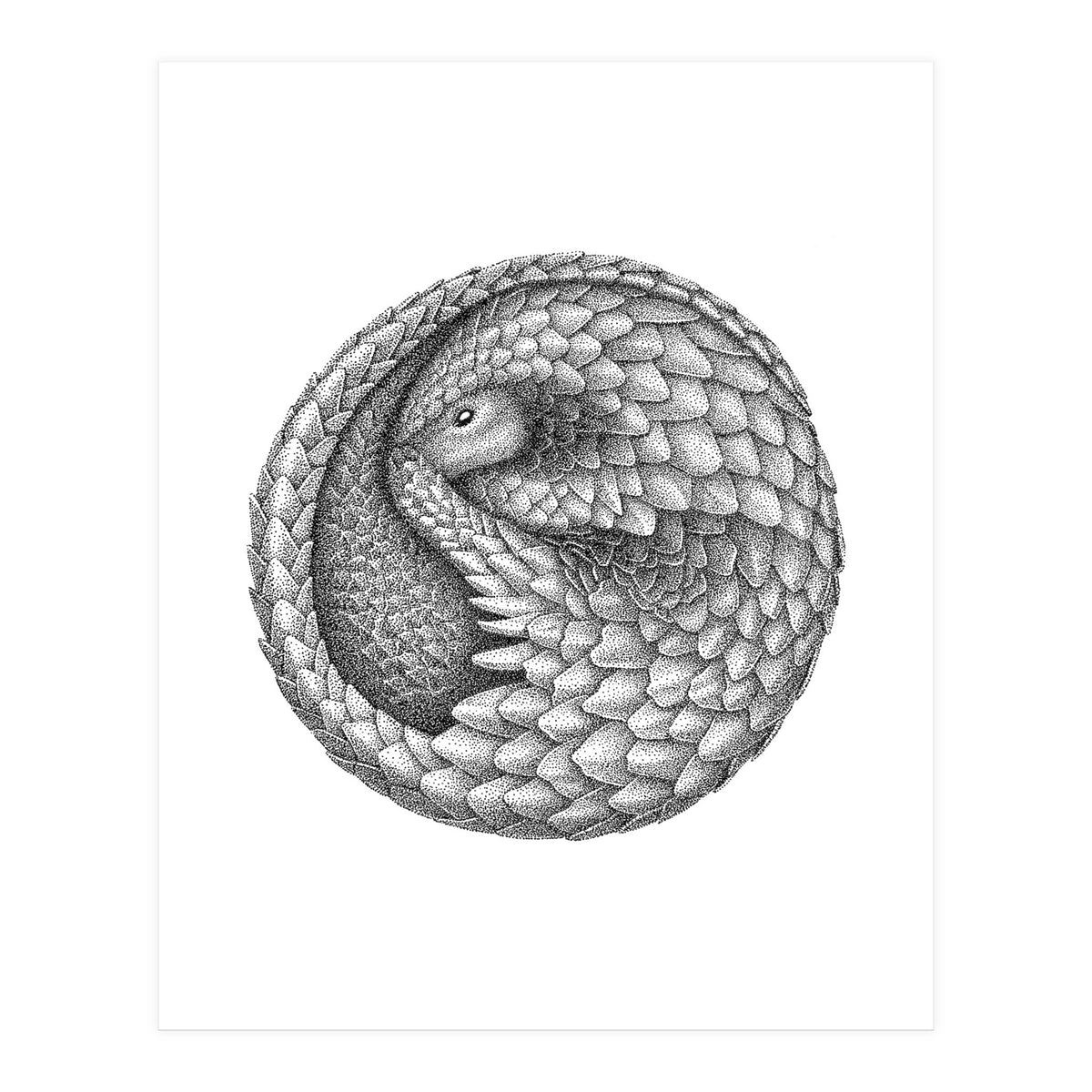 Pangolin no. 2 (Print Only)
