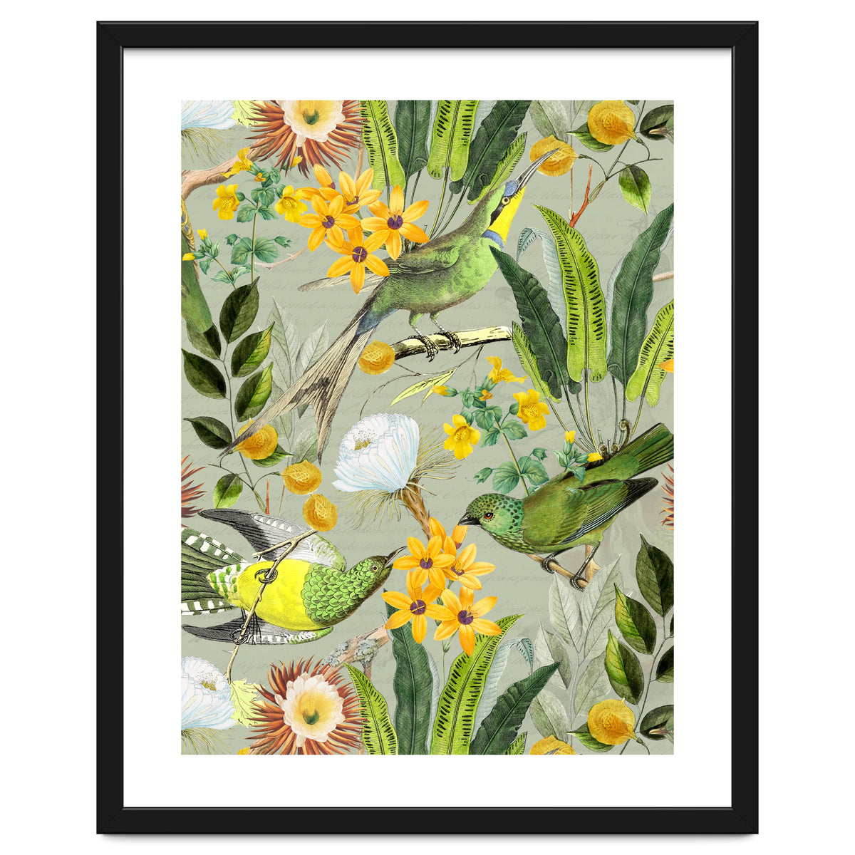 Tropical Birds in Exotic Jungle