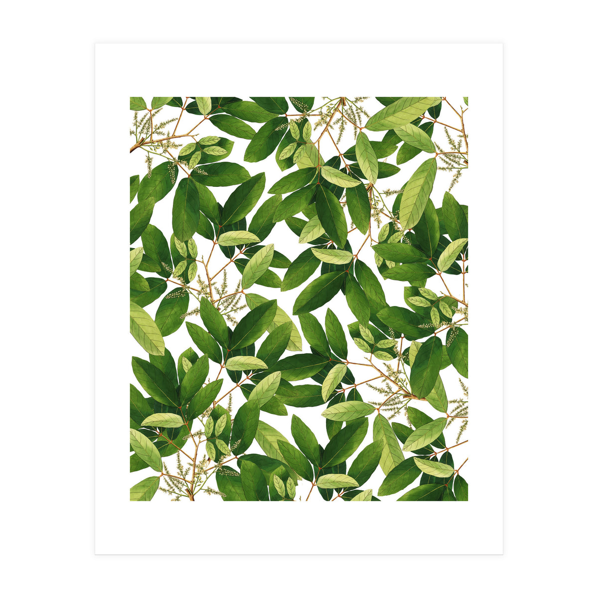 Greenery #society6 #decor #buyart (Print Only)