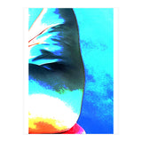 Aqua Fire |  Sea Wall (Print Only) thumbnail