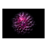 Backyard Flowers No 57 Color Version (Print Only) thumbnail