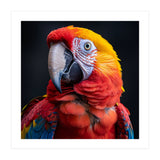 Scarlet Macaw Parrot Head Detailed Portrait Black (Print Only) thumbnail