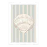Sea shell (Print Only) thumbnail