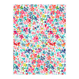 Colorful Flower Petals (Print Only) thumbnail