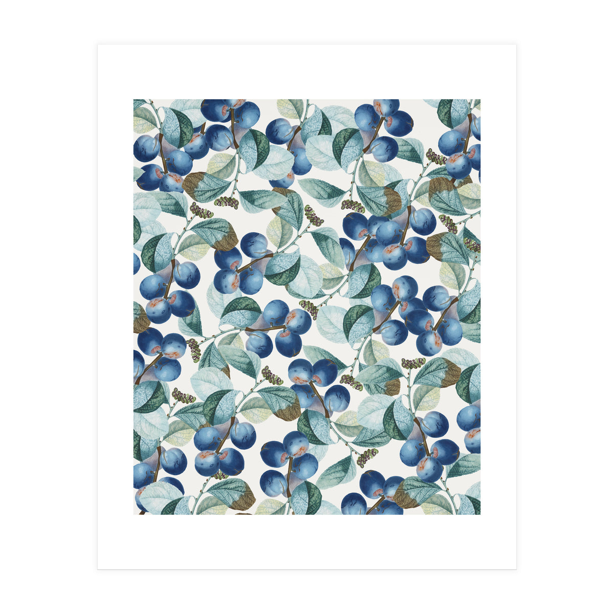 Plum Plum #society6 #decor #buyart (Print Only)