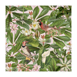Tropical Bird Garden (Print Only) thumbnail