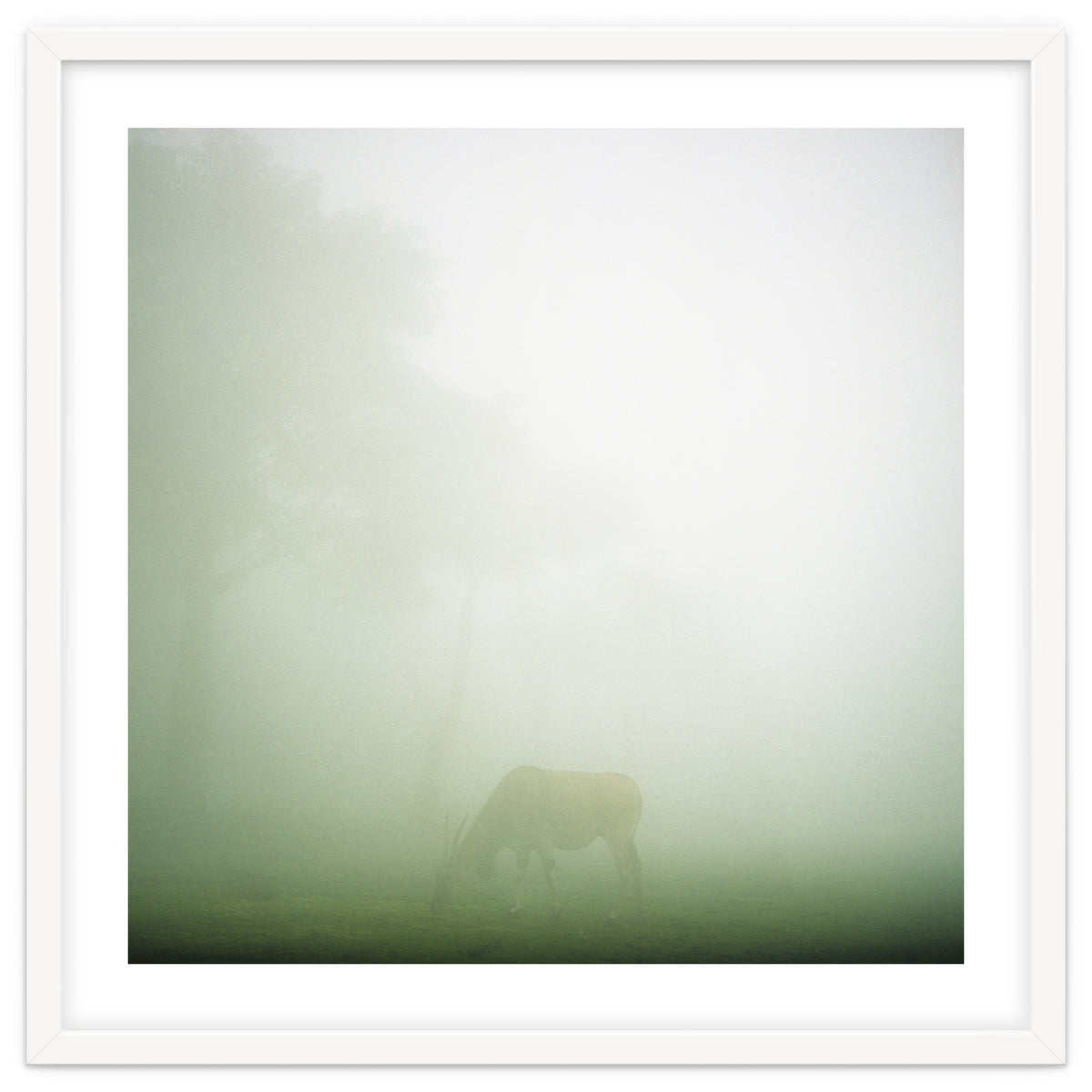 Silence of breath - 09