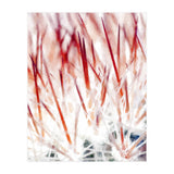 Delicate Florals (Print Only) thumbnail