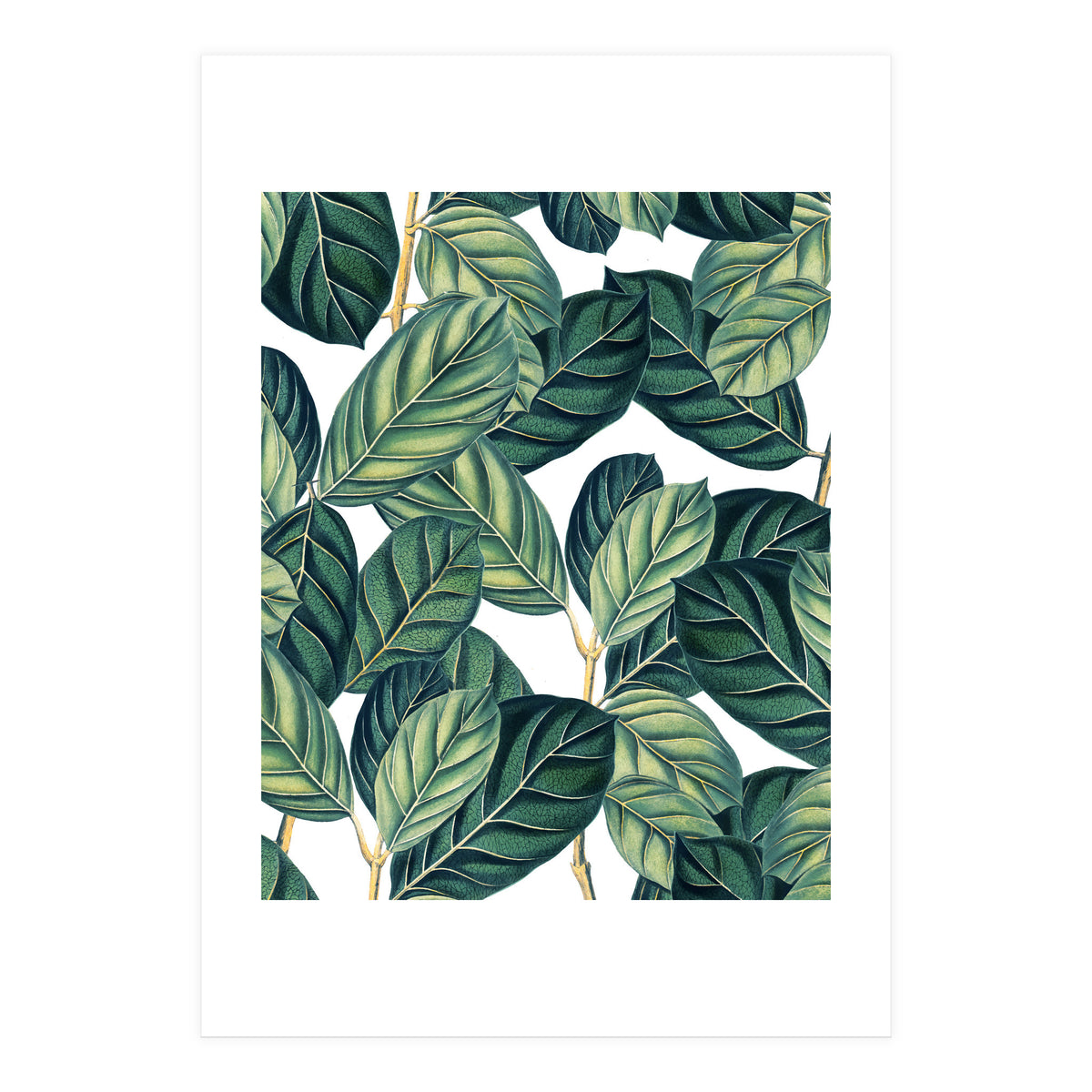 Botany #society6 #decor #buyart (Print Only)