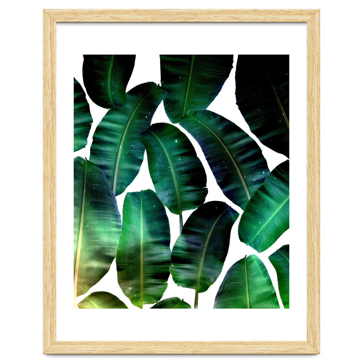 Cosmic Banana Leaves