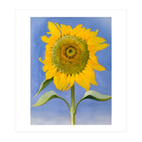 Georgia O’Keeffe – Sunflower, New Mexico (1935) | Bold Modernist Floral Painting Inspired by the American Southwest (Print Only) thumbnail