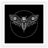Deaths Head Moth thumbnail