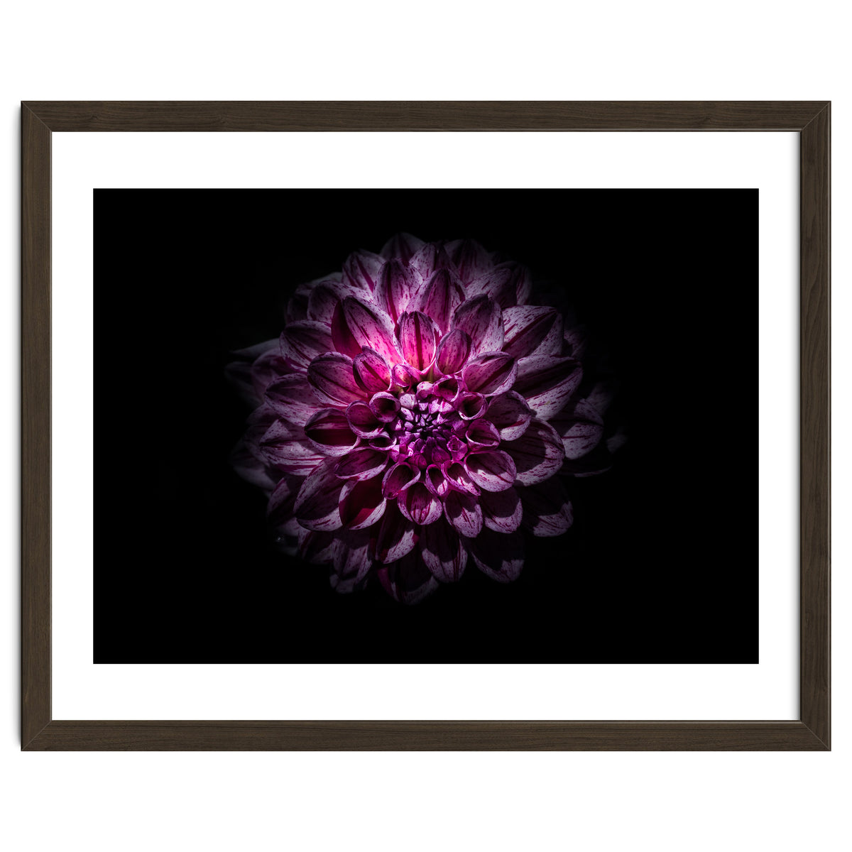 Backyard Flowers No 57 Color Version