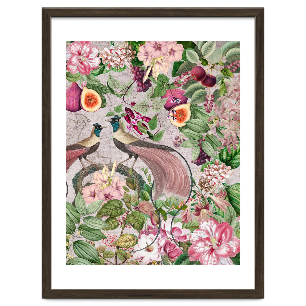 Vintage Birds Of Paradise Jungle