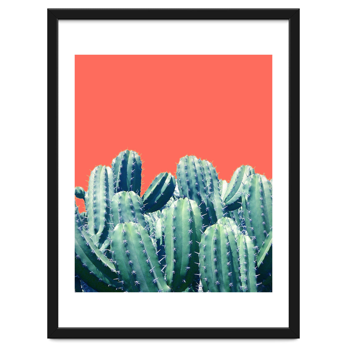 Cactus On Coral